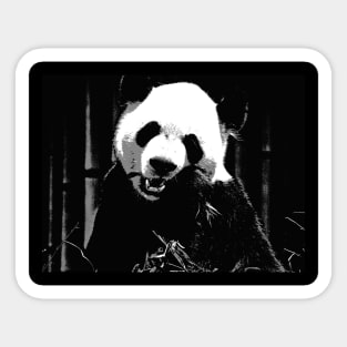 Cute Giant Panda Bear with tasty Bamboo Leaves Sticker